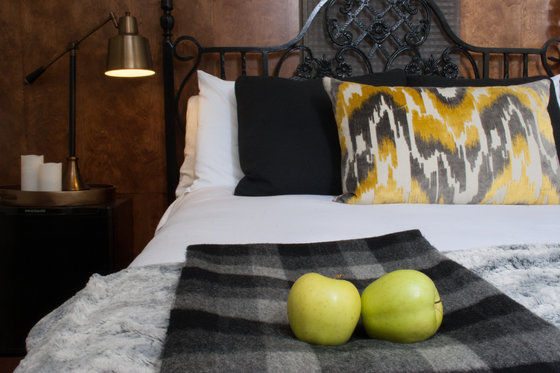 Made Inn Vermont An Urban-Chic Boutique Bed And Breakfast Burlington Camera foto